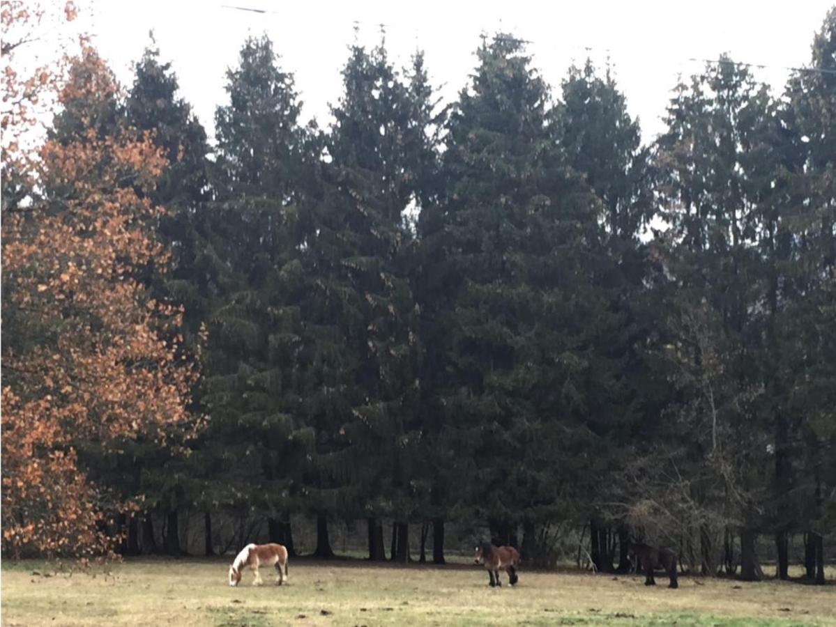 La Chenaie Villa Vresse-sur-Semois Kültér fotó